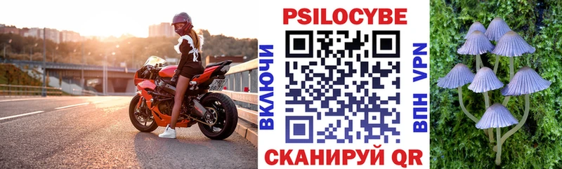 даркнет сайт  Пестово  Псилоцибиновые грибы Psilocybe 