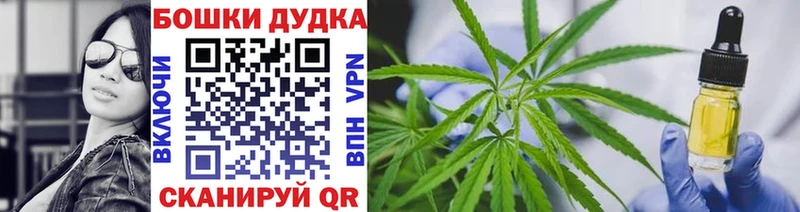 где купить наркоту  даркнет телеграм  Канабис Ganja  Пестово 